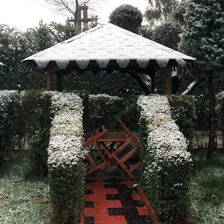 Bardhi